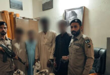 برفانی تیندوے کی کھال